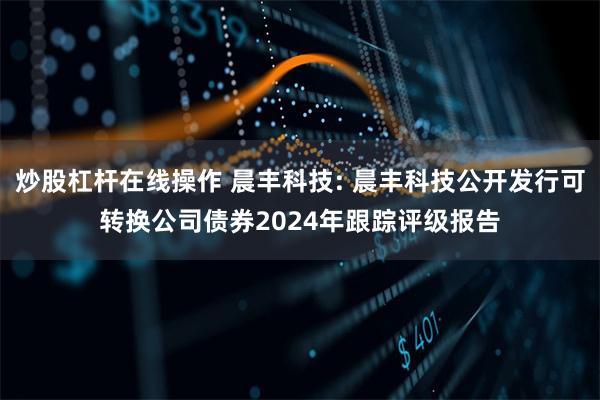 炒股杠杆在线操作 晨丰科技: 晨丰科技公开发行可转换公司债券2024年跟踪评级报告