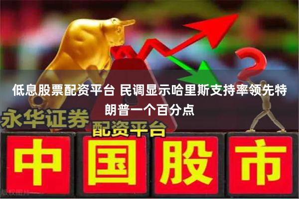 低息股票配资平台 民调显示哈里斯支持率领先特朗普一个百分点
