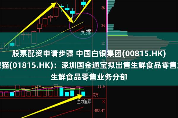 股票配资申请步骤 中国白银集团(00815.HK)及金猫银猫(01815.HK)：深圳国金通宝拟出售生鲜食品零售业务分部