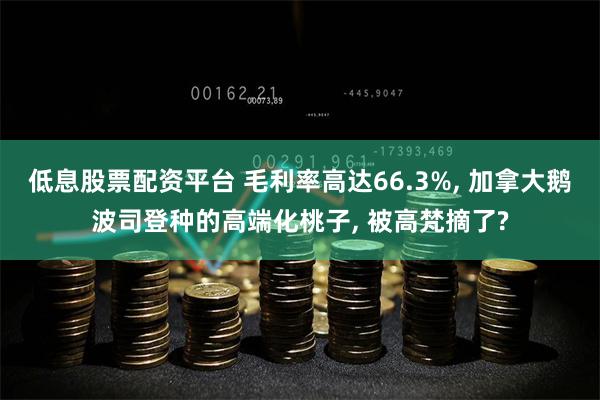 低息股票配资平台 毛利率高达66.3%, 加拿大鹅波司登种的高端化桃子, 被高梵摘了?